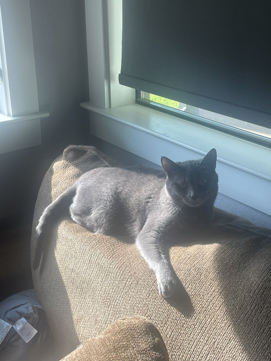 The Intense MD tweet media