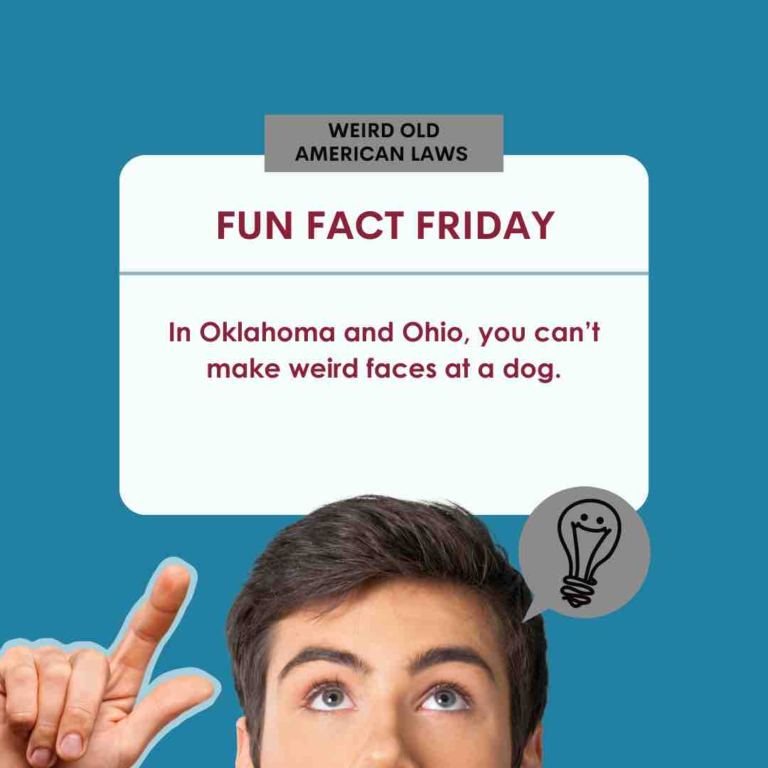_simplelaw's tweet photo. Did you know about this weird American Law? 🤔
Know what's not weird? How simple it is to learn and use SimpleLaw case and practice management software. See what we did there?
https://t.co/0BzwFs49xG
#SimpleLaw #FunFactFriday https://t.co/zQm1PrLrh0