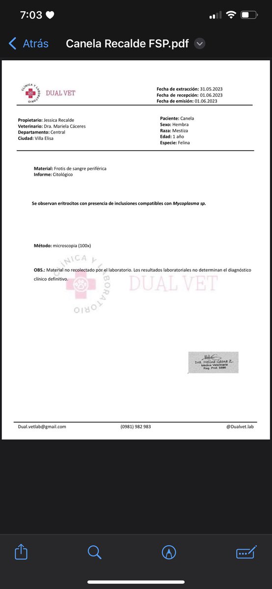 Garelik_py's tweet photo. Buenas 🫶🏻 estoy queriendo cubrir los gastos de mi gatita ella hoy salió positivo a micoplasmosis o anemia infecciosa felina ella siempre fue muy sanita pero probablemente ella ya traia esa enfermedad y ahora brotó Lo que si estoy ofreciendo cases para iPhone o prendas que tengo ! https://t.co/Imeu2HGRQ8