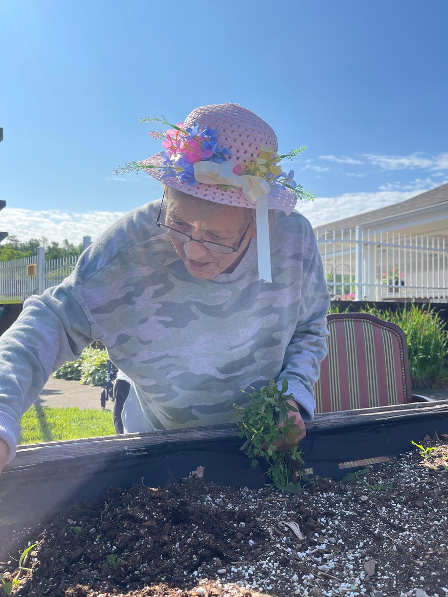 OakwoodHC's tweet photo. Our Legacy residents enjoyed the beautiful weather while planting vegetable plants in our courtyard. We are hoping for some fresh tomatoes and cucumbers this summer.
#GrowWithTrilogy #memorycare https://t.co/VxSwyUac4w