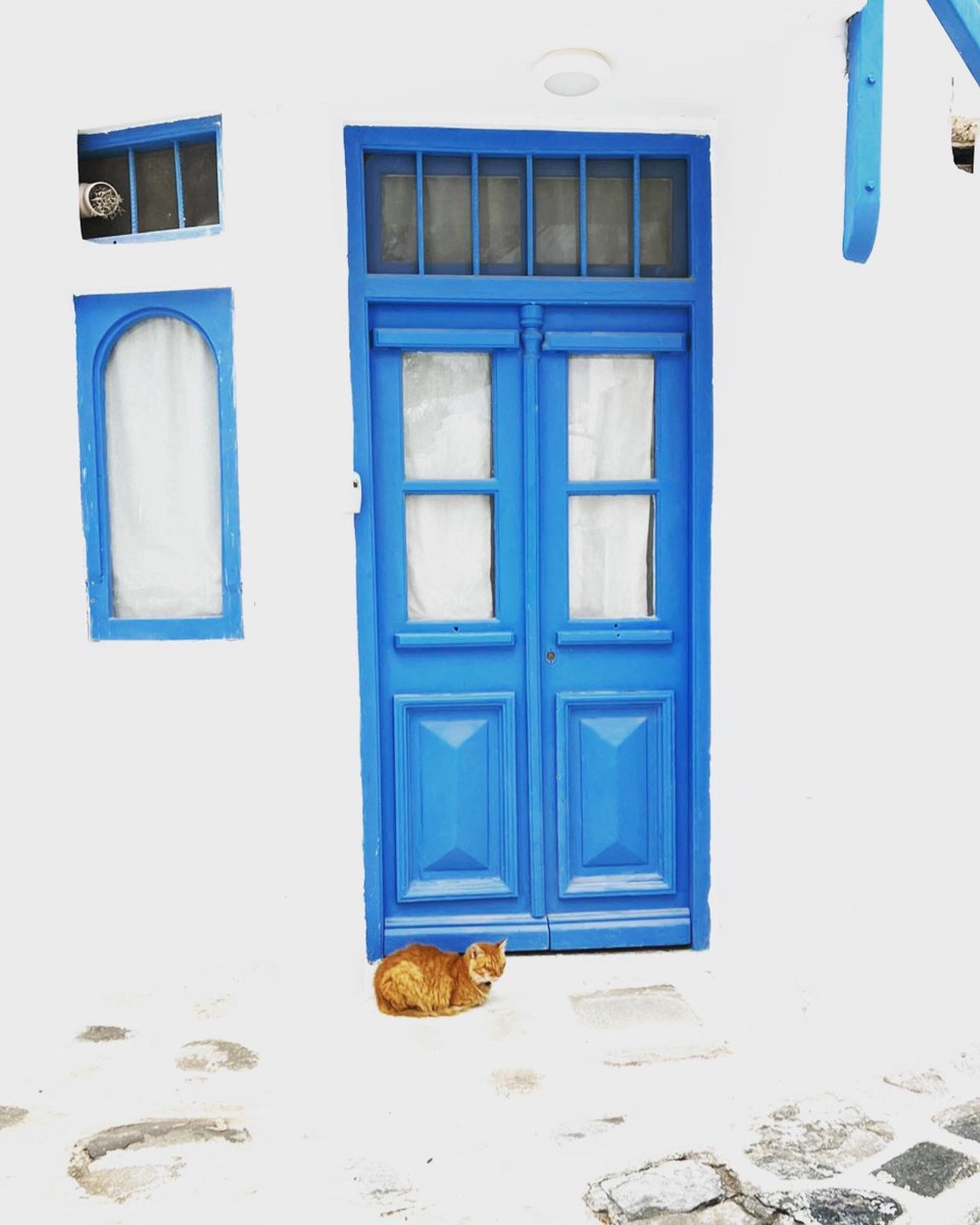 stevencoleuk's tweet photo. A little walk around Mykonos.
#mykonos #littlevenice #catsofmykonos https://t.co/CPicelvnCp
