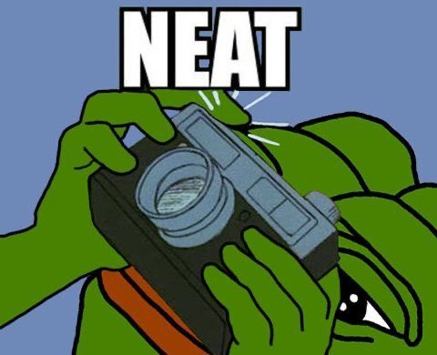 KnightsofPepe tweet picture