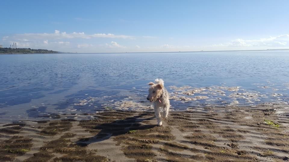 Kevin Humphreys tweet media