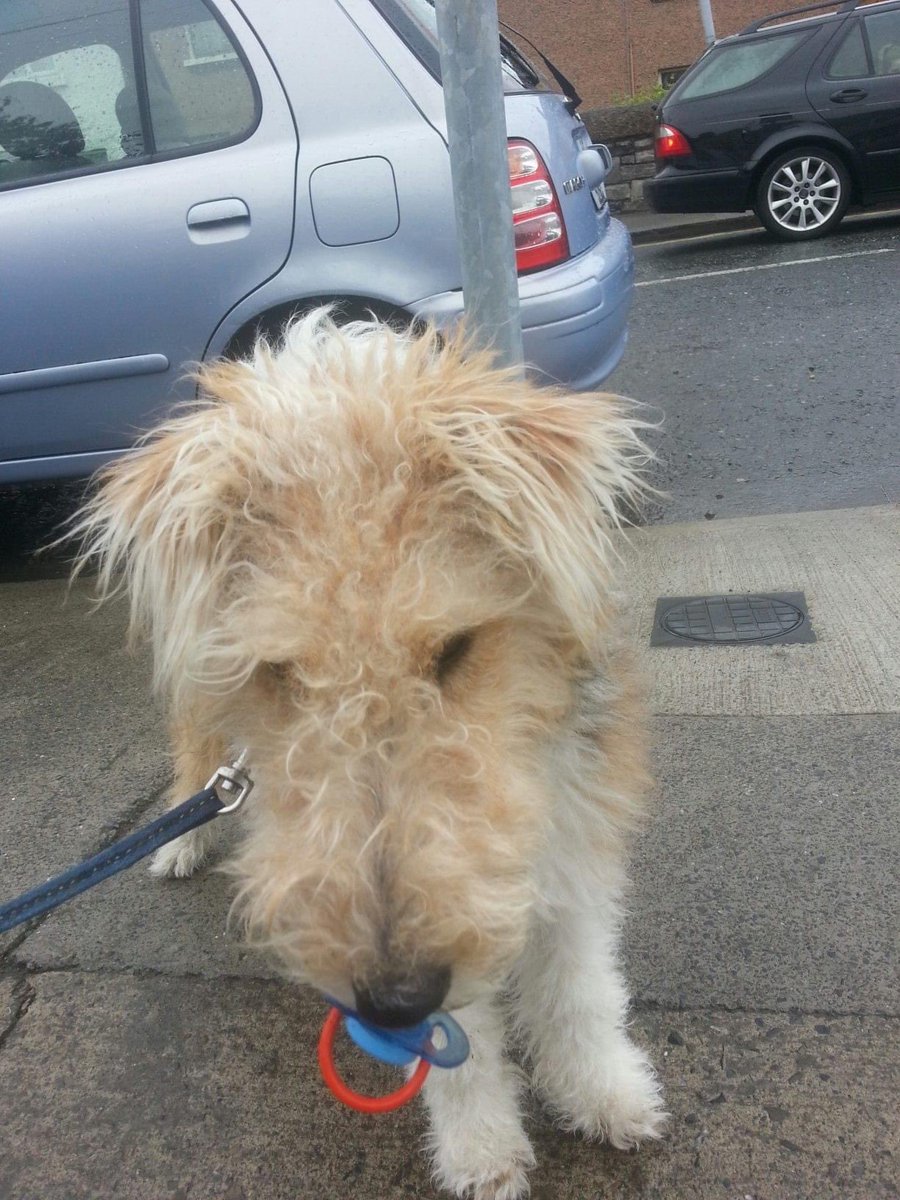 Kevin Humphreys tweet media