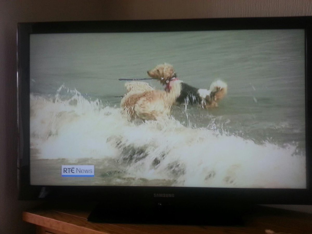 Kevin Humphreys tweet media