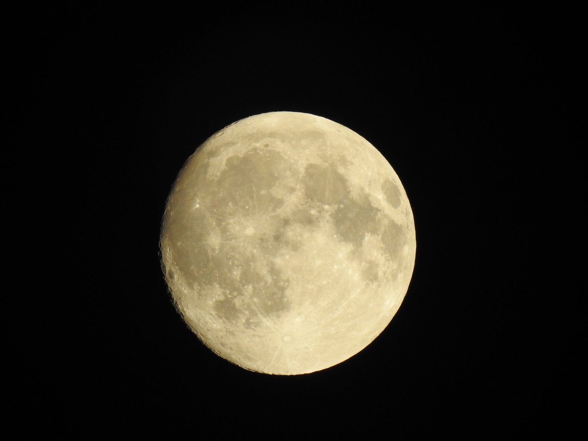 mygeograph82328's tweet photo. I always look up at the #Moon and see it as the single most #romantic place within the #Cosmos.
pic taken 
from #India before the #Full_moon night 
#moonphotography 
#UNIVERSE 
#Earth 
#satellite 
#sun 
#my_Geography 
#Ruben https://t.co/GqrA60x9sI