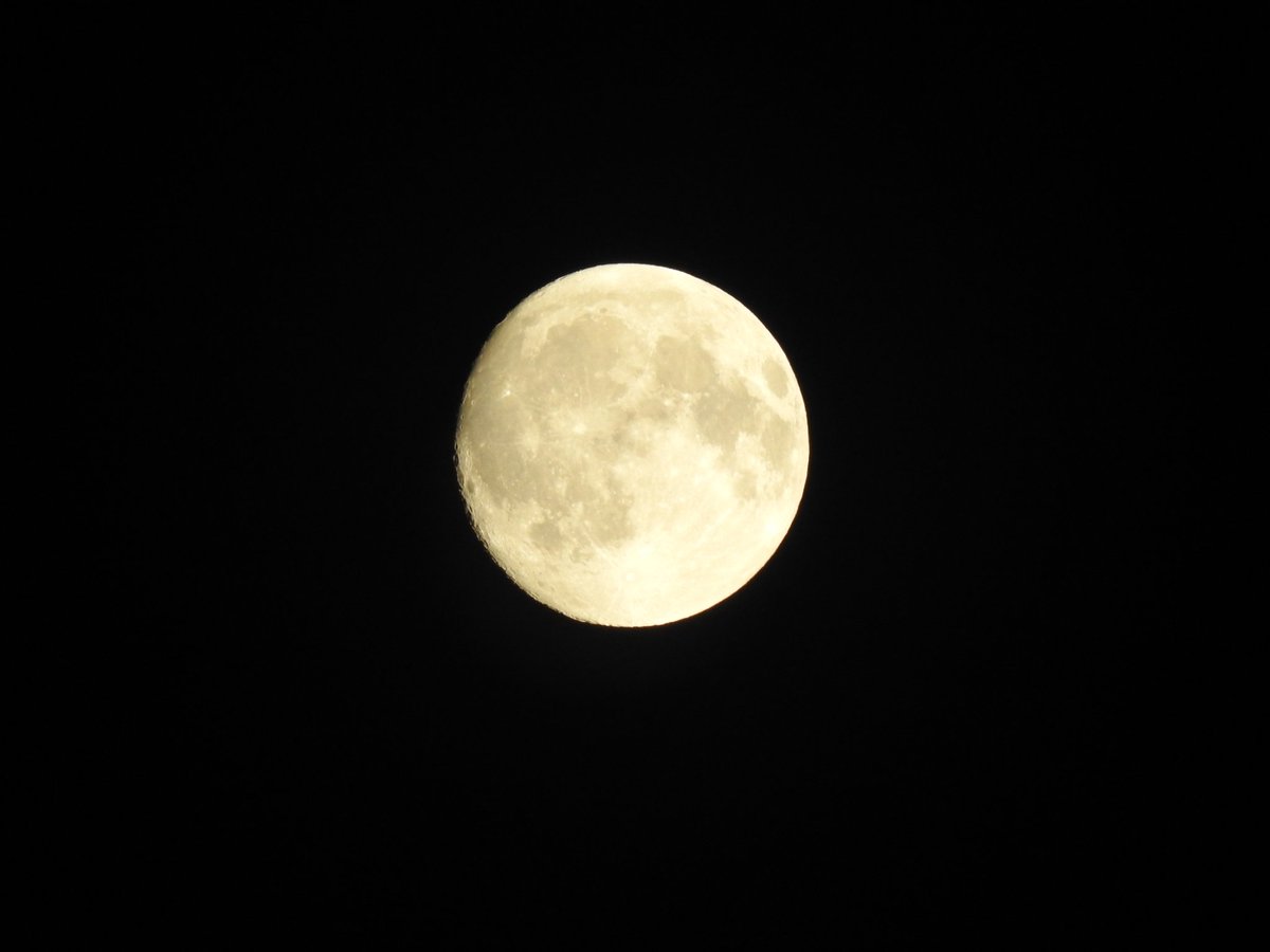mygeograph82328's tweet photo. I always look up at the #Moon and see it as the single most #romantic place within the #Cosmos.
pic taken 
from #India before the #Full_moon night 
#moonphotography 
#UNIVERSE 
#Earth 
#satellite 
#sun 
#my_Geography 
#Ruben https://t.co/GqrA60x9sI