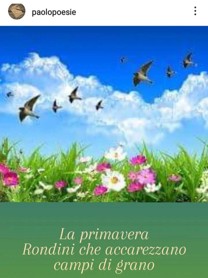 PaoloPoesie's tweet image. #haiku ...#poesie ..
#poesieperlasera .
..#primavera ...#poems ...#poetry ...