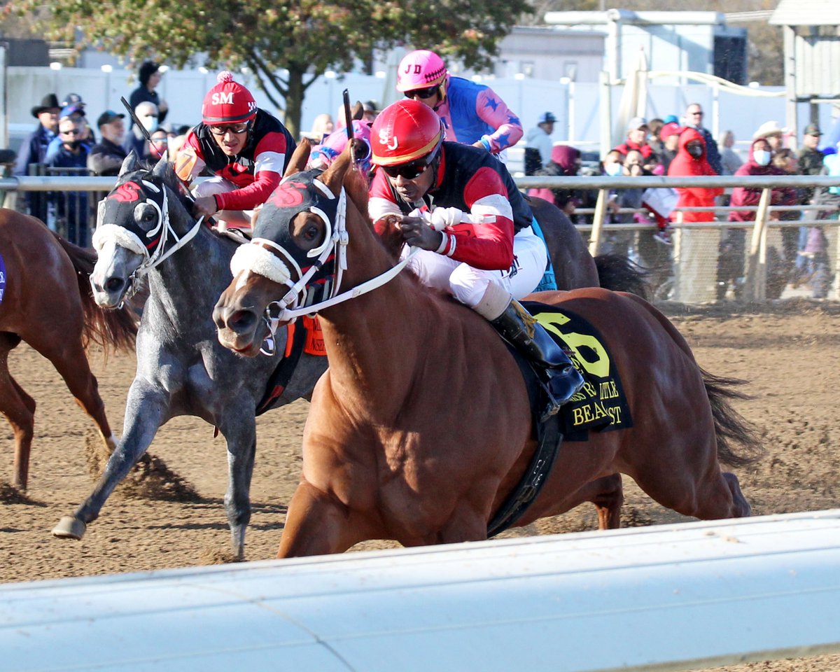 MarthaClaussen's tweet image. The first All Quarter Horse Day of the 2023 @HSIndyRacing racing season is Sat, June 3. First post: 10:45 am (ET)- 12 races including the 11th running of the Born Runner (R11). Beach Blast , winner of 10 of his 17 starts, takes on 9 rivals. #Indystar!
@JohnGDooley @RacingRachelM