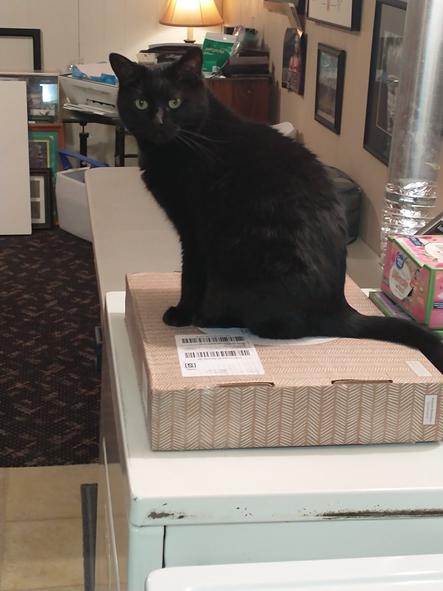 Jeff J Dummer tweet media