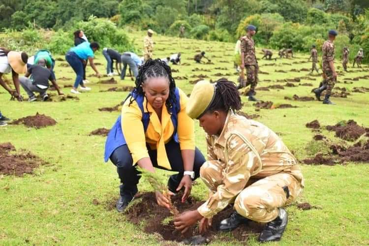 PHIAMAX's tweet image. Nakuru county government under the able leadership of Governor @susankihika  means business. 

Today a  total of 22,000 trees were  planted in Subukia sub-county and Dundori forest in Bahati sub-county.

#focusedonservicedelivery #KaziBilaKelele