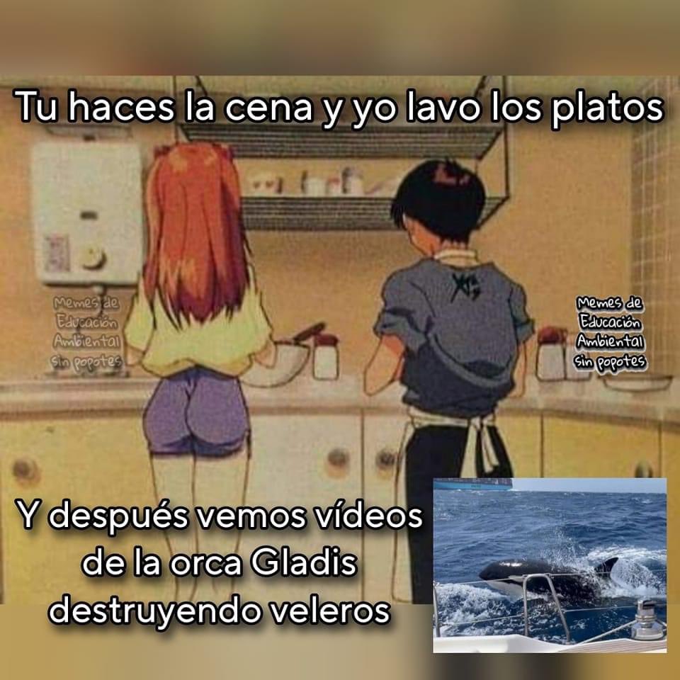 daphnella's tweet photo. Plan perfecto https://t.co/GcJ19L2Biw