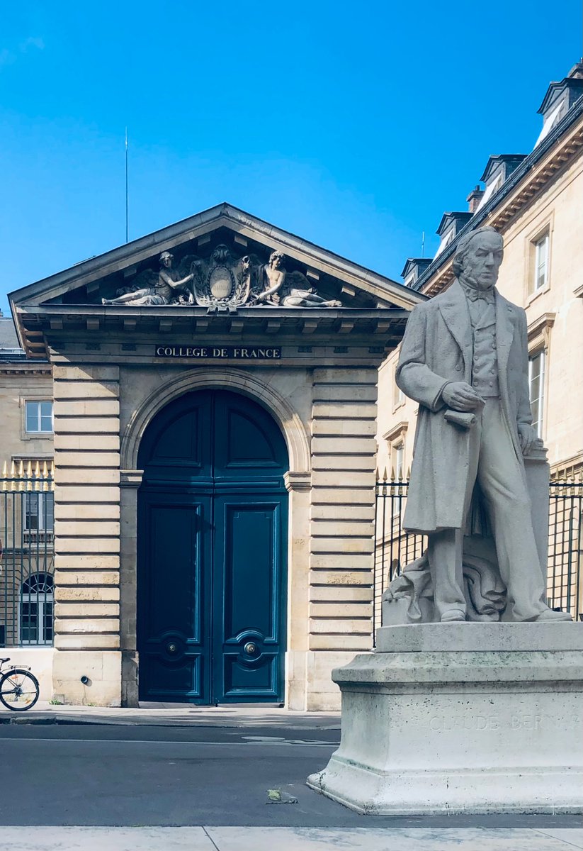 Today I gave a lecture at the Collège de France, there is not much more beauty to ask. Since 1530.