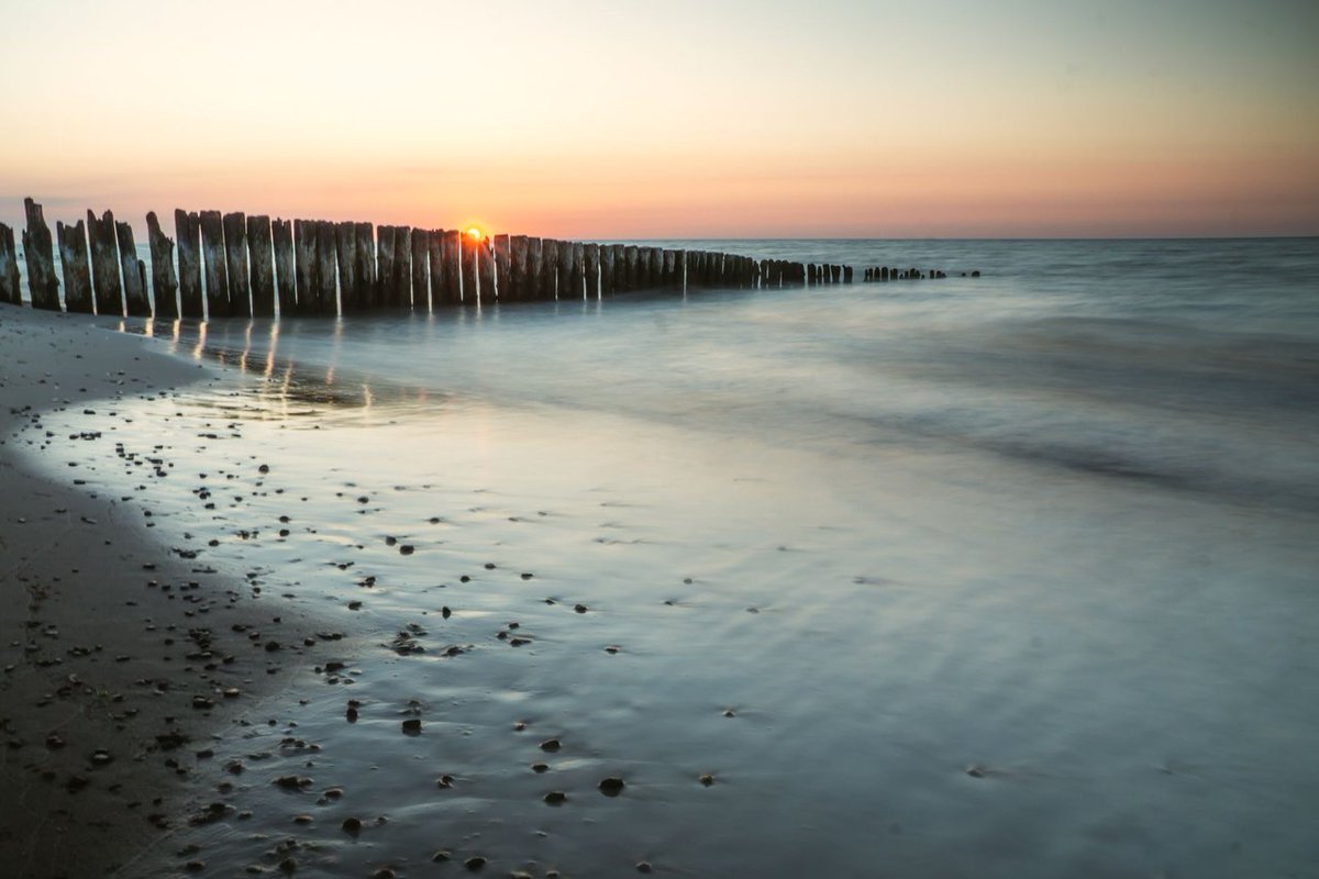 📷📷Good Morning World!📷📷                                    

Check out our daily top 8 artists on #Hive  

📷Round 1484    
📷Image by Matthewbox

peakd.com/hive-153349/@p…

#photography #hive #hiveworks #hiveblog #HIVETwitter #photo #artist #photofeed $hive