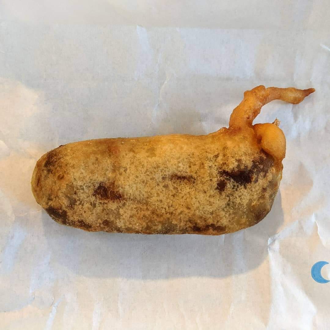 When you start to see fossils in your food. 
Deep fried Mars bar or Falcatus?🤔
Falcatus was a cartilaginous fish which lived during the early Carboniferous (~350 million years ago). 
Fossil from @NHM_Wien 

#FossilFriday