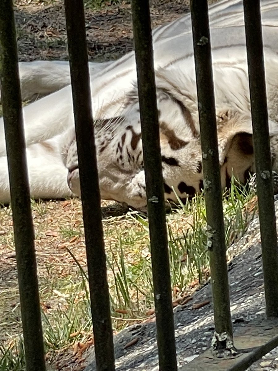 Tiffany Fetter tweet media