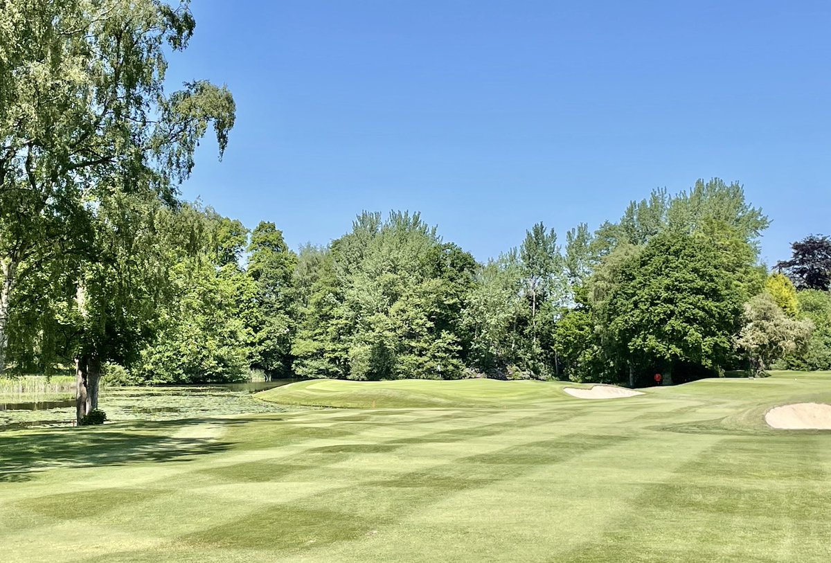 The Golf Guide tweet media