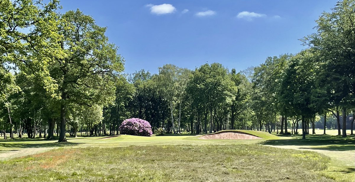 The Golf Guide tweet media