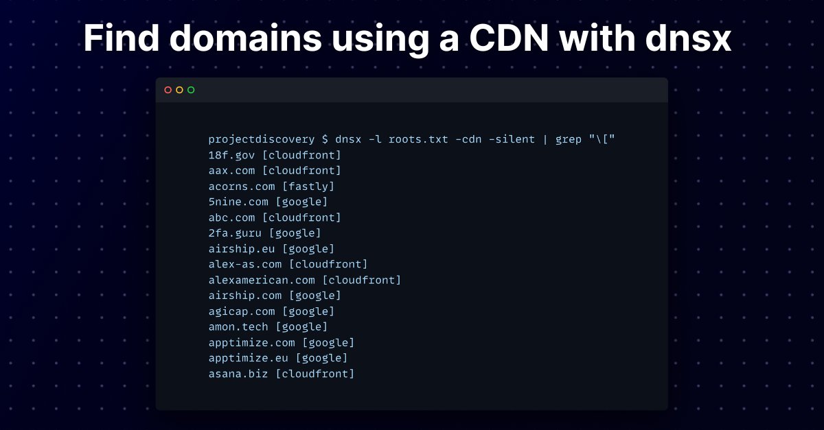 Projectdiscovery io on twitter discover hosts using a cdn with dnsx