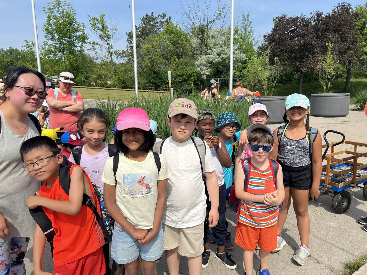 Grade 1/2 tweet media