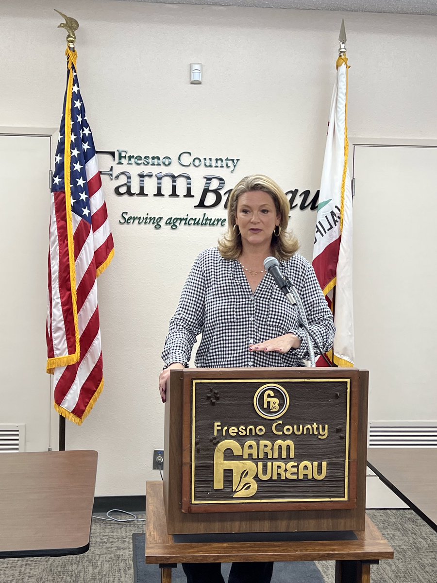 #FresnoCounty #DistrictAttorney Lisa Smittcamp was #FCFB’s featured Board speaker yesterday. DA Smittcamp provided an overview of the District Attorney’s office and the issues they work on.