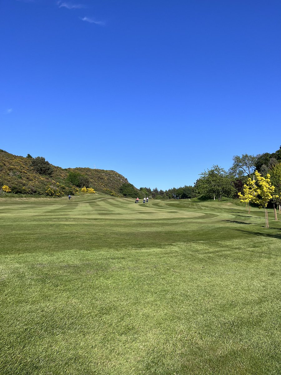 Angus McLean tweet media