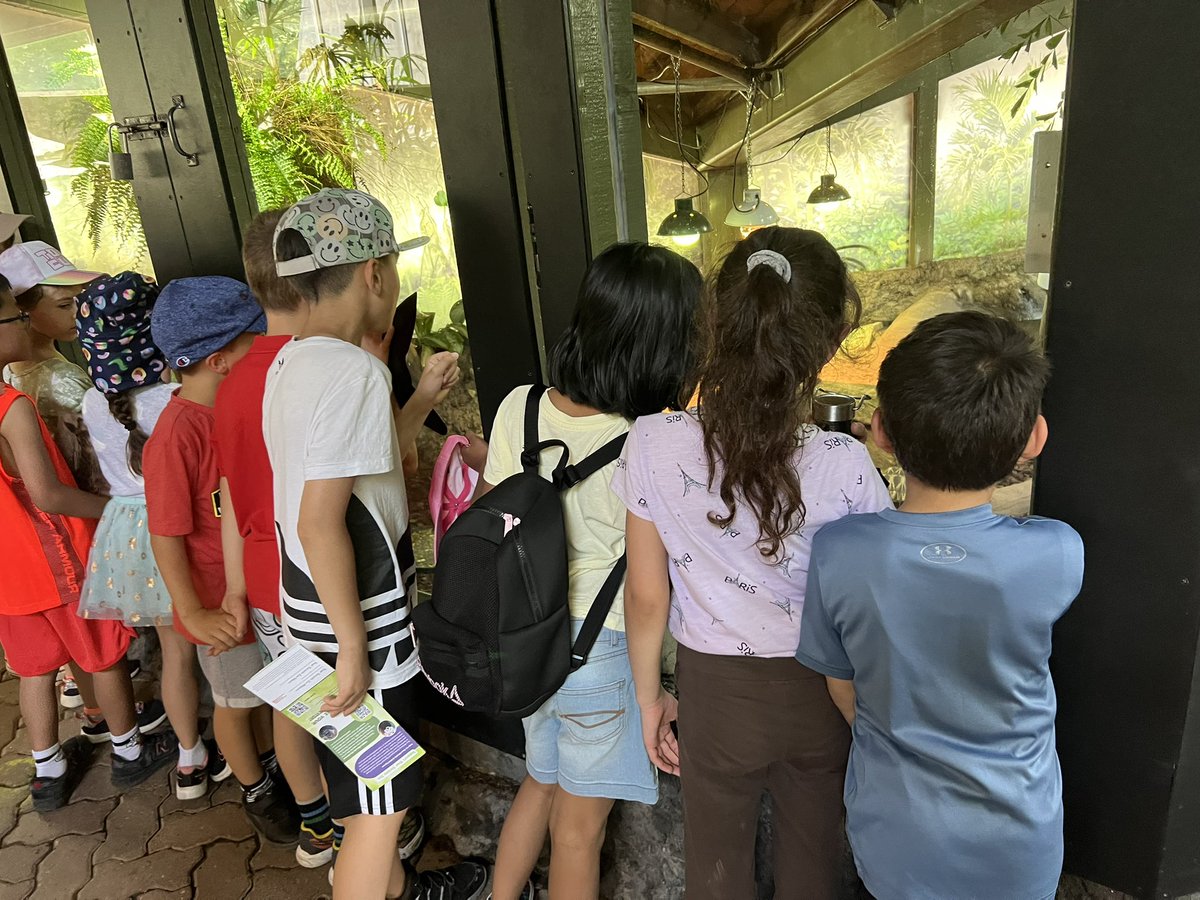 Grade 1/2 tweet media