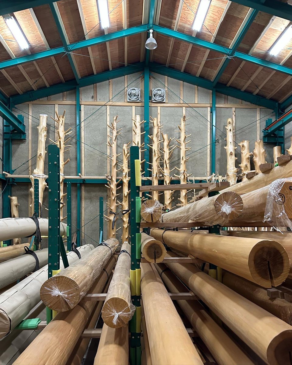 kinoarchi's tweet image. 奈良県斑鳩町のこども園、柱探し。
流石は奈良！地場の美しい木がいっぱい。良い木が選べたので、現場に立ち現れるのが楽しみ。
@kino_architects #masahirokinoshita #kindergarten #woodstructure #nara #ikaruga #architecture