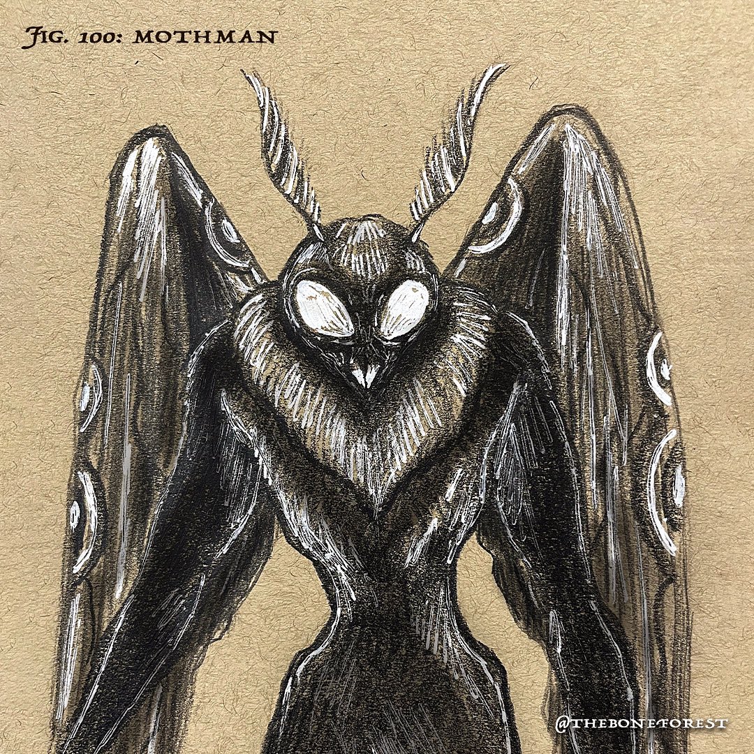 Fig. 100 : Mothman 🌿 (100/100)
•
And that’s a wrap! The 100 Day Project year 6 in a row, completed!! 🖤
•
#art #illustration #pencil #graphite #bestiary #otherworld #horror #horrorart #folklore #creatureart #the100dayproject #the100dayproject2023 #100daysofbestiary #mothman