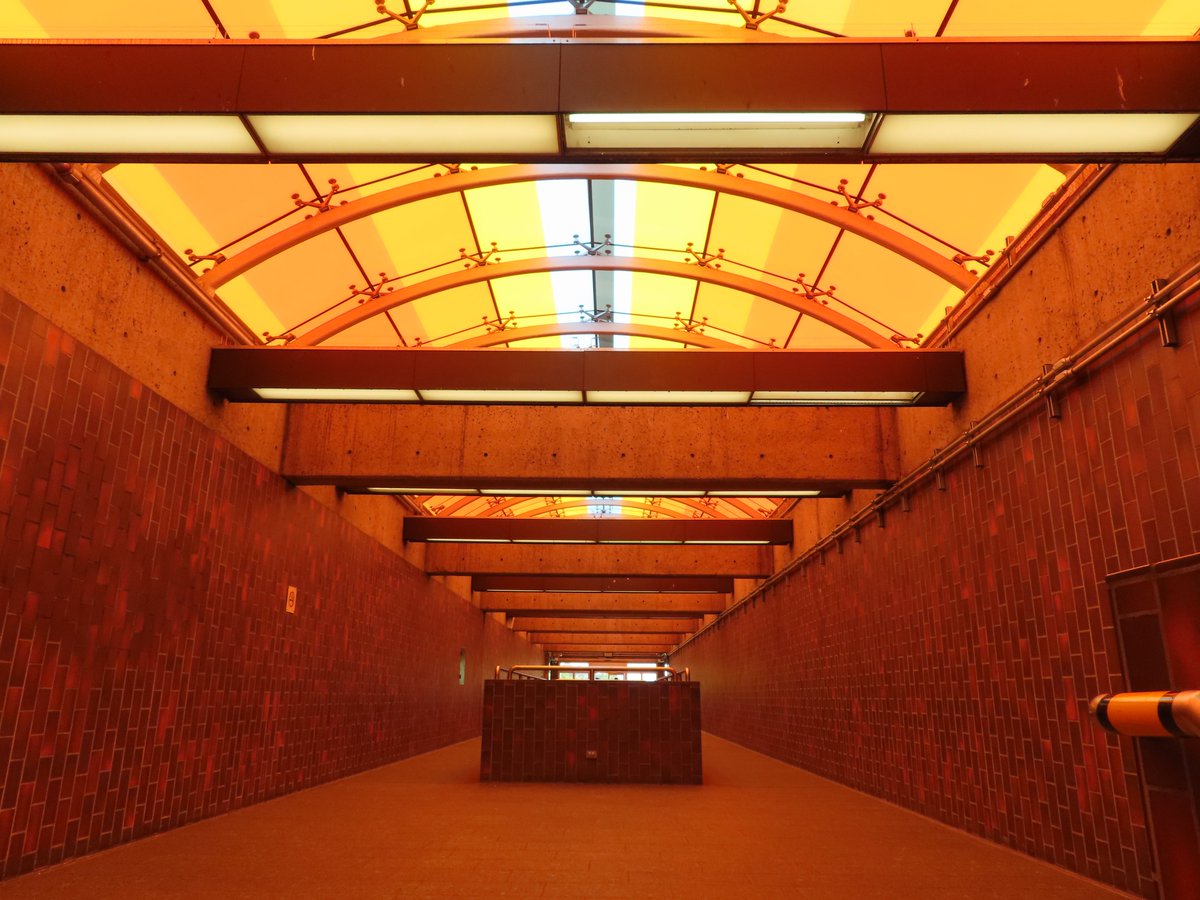 Adam Lauder tweet media