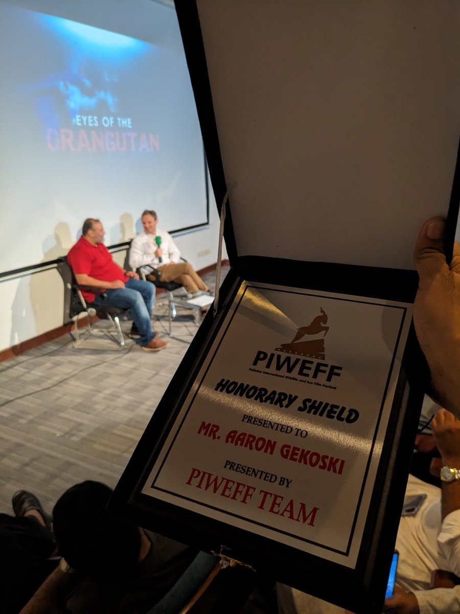 Piweff tweet media