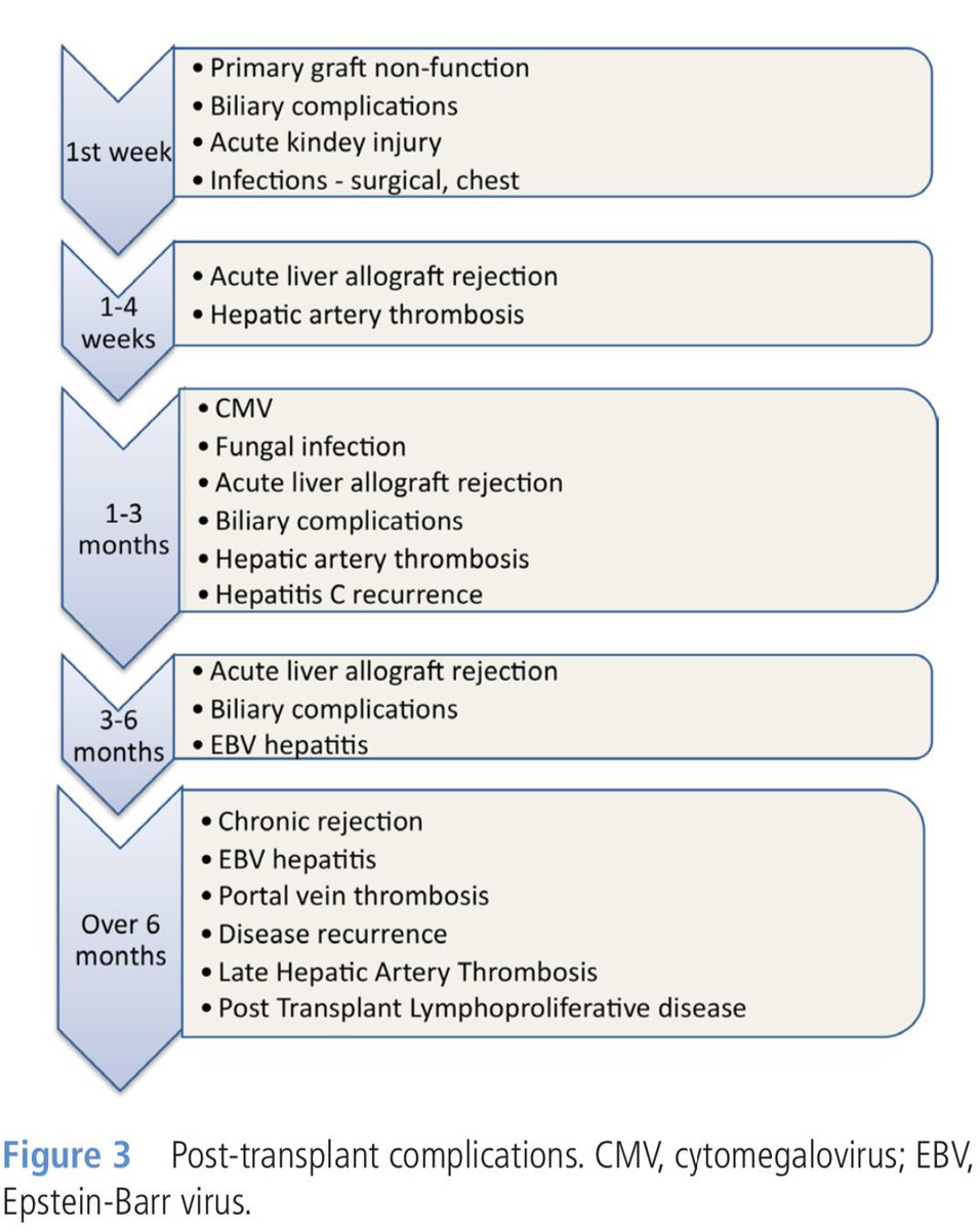 Keith Siau on Twitter "This patient had an old MercedesBenz scar