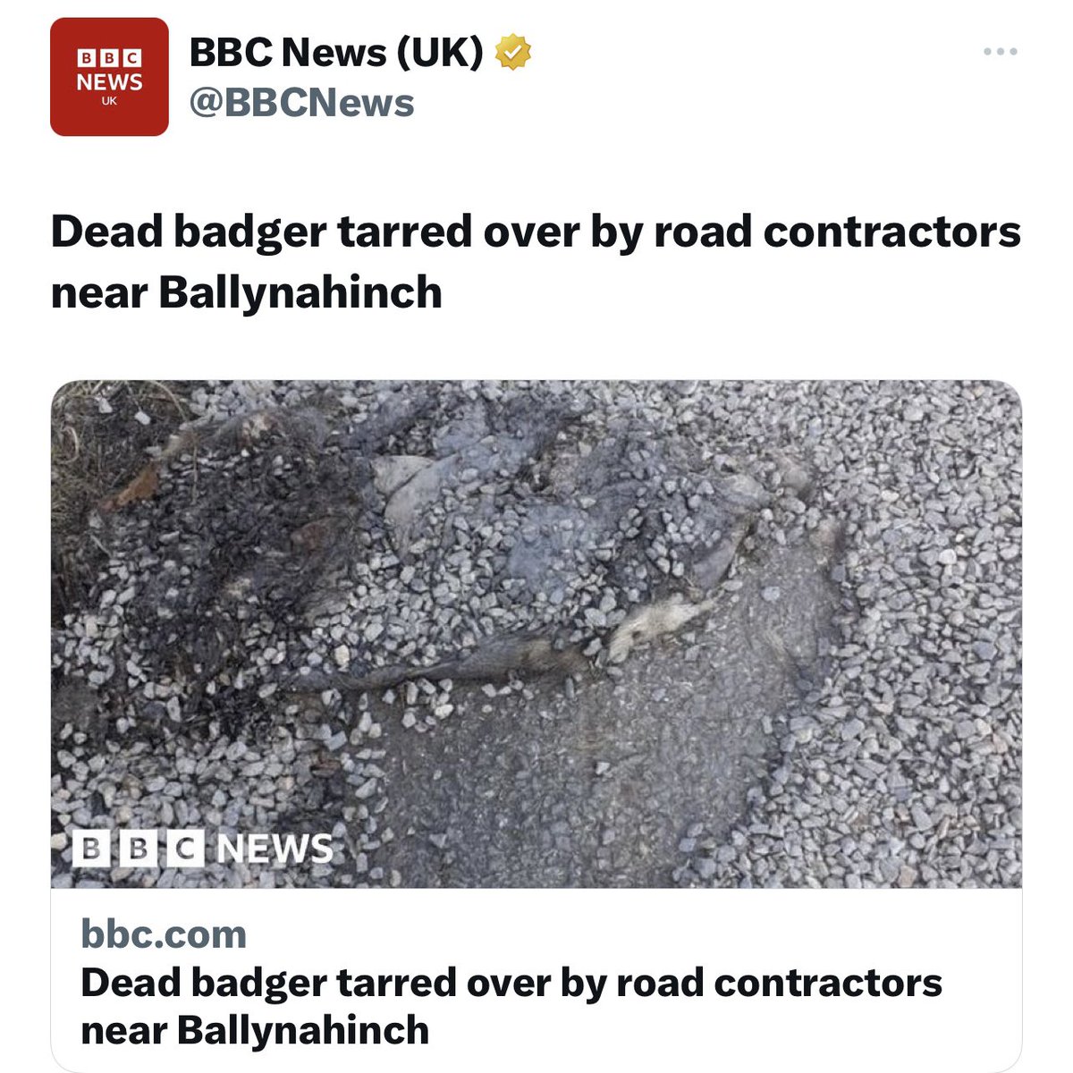 Latest <a href="/BBCNews/">BBC News (UK)</a> story of national interest - Dead badger tarred over by road contractors

Not of national interest - a make or break moment for parliamentary democracy as Government tries to restrict our right to protest through the back door - what will it take #BBC?