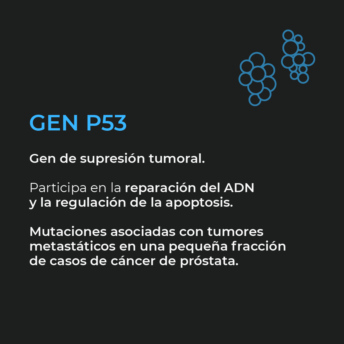 Reto_MD_'s tweet photo. Las alteraciones genéticas en el cáncer, como las mutaciones en genes reguladores y cambios en las proteínas y su cantidad, conducen al desarrollo de células anormales y al progreso del cáncer. #enarm #retoenarm #medicina #medicinaenarm #examenenarm #ENARM #examenENARM https://t.co/z8RW4urRAy