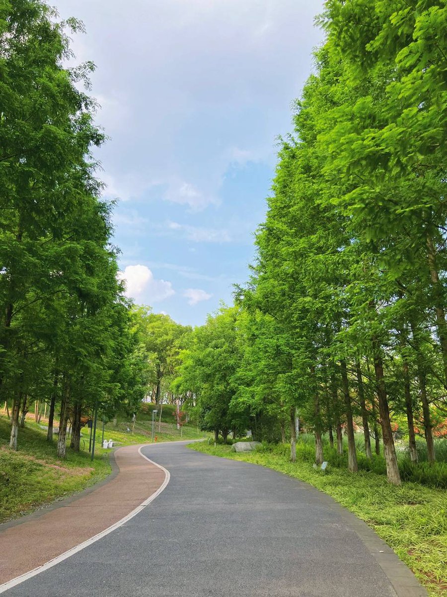 abw_sfaqh's tweet photo. The more I grow, the more I like the breath of nature, and the more relaxed and pure I am in it https://t.co/D5uBFR2iwu