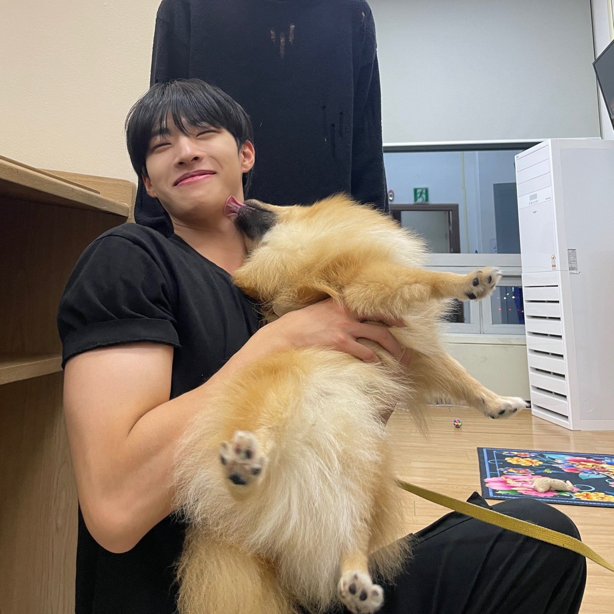 🐶🤍