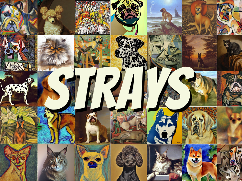 StraysNFT's tweet photo. Join us on Strays as we continue to build 💪

Big news coming next week
-The Strays Musuem is opening it's doors soon.

--FREE mint is still live at https://t.co/LsWlXoL9H5 !!!-- https://t.co/9ll7BbHqLA