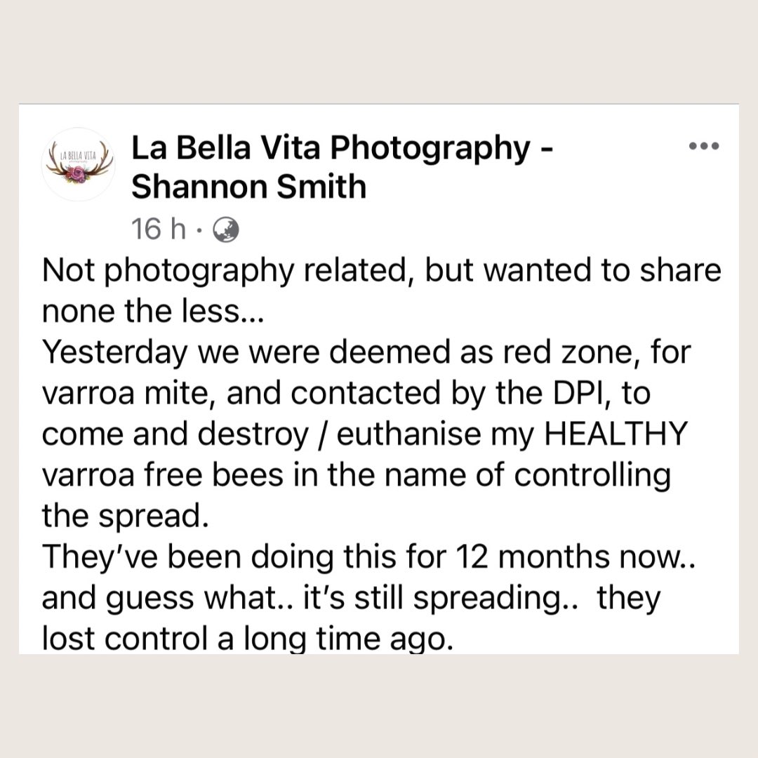 VastHarvestPerm's tweet photo. More death 😭
I don’t have any words right now 😭
Heartbroken and angry for Shannon and what they’re about to go through😭
We’re sorry and we send you our prayers and blessings. We will continue to fight this madness 😭🐝💛
@beethecure
.
#stopkillingthebees
#enoughisenough
#savethebees
#honeybees
#varroamite
#varroa
#bees
#pollinators
#vastharvestpermaculture