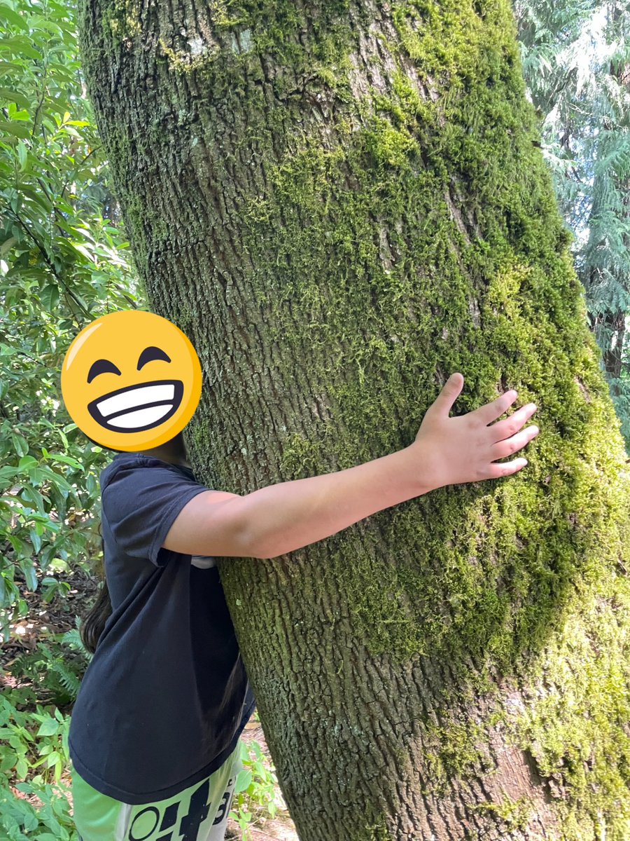 HeroicClassroom's tweet photo. Tool of the day: Somatic Tools today. Exploring circumference, area and volume of cylinders in the forest. #math #mathadventures #mathexperiments #sd36learns @CIRCE_SFU #imaginEd #Circles #geometry #outdoorlearning https://t.co/GVWsuYwbUj