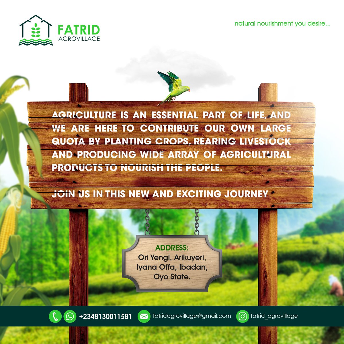 xeleratedesigns's tweet image. Advertisement Design for Fatrid AgroVillage |

#thexquisitedesigns #advertisement #advertisementdesign #agriculture #farming #plantation #eflierdesign #plant #livestock #green #modern #brandidentitydesign #socialmedia #brandingdesign #brand #graphicdesign
