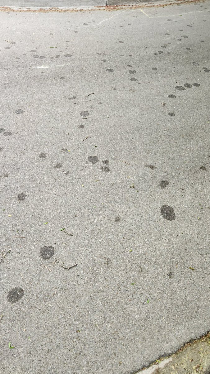 pkewl's tweet photo. Hail melt spots. https://t.co/GpeRhwT4UC