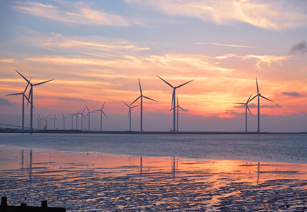 dnaturedjournal's tweet image. Oops! This Offshore Wind Farm Accidentally Spilled A Ton Of Wind Into The Ocean

bit.ly/3cpWmia