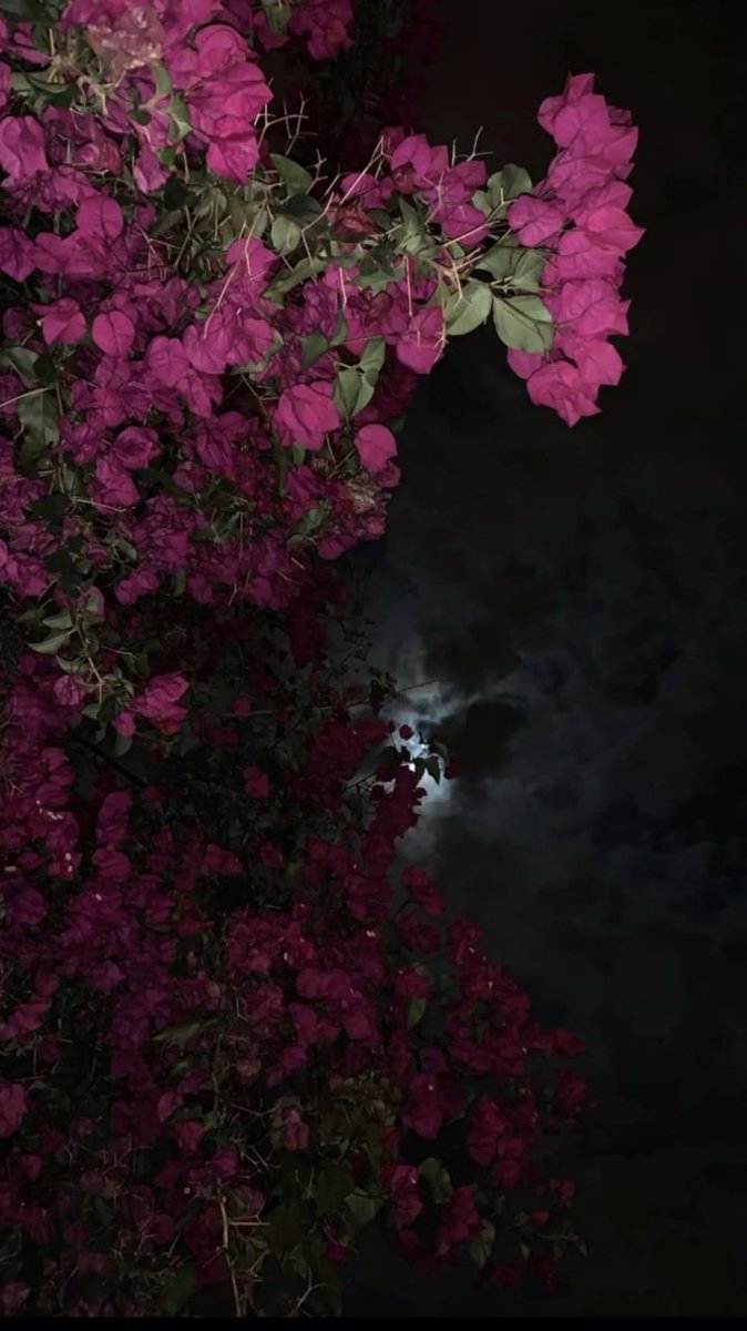 One of the most beautiful things in life is to always feel inner peace, as no one can easily provoke you or make you take a decision that you will regret later.