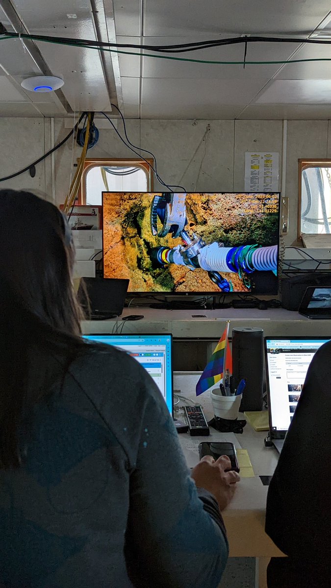 HYDROTHERMAL VENTING just found on Tuzo Wilson SEAMOUNT (NEPDEP58)?! 🤯 This seamount has also hosts a skate nursery and a coral garden. Teeming with LIFE! 🪸🌋⛰️

<a href="/nepdep_/">Northeast Pacific Deep-sea Exploration Project</a> #nepdep #knowtheocean