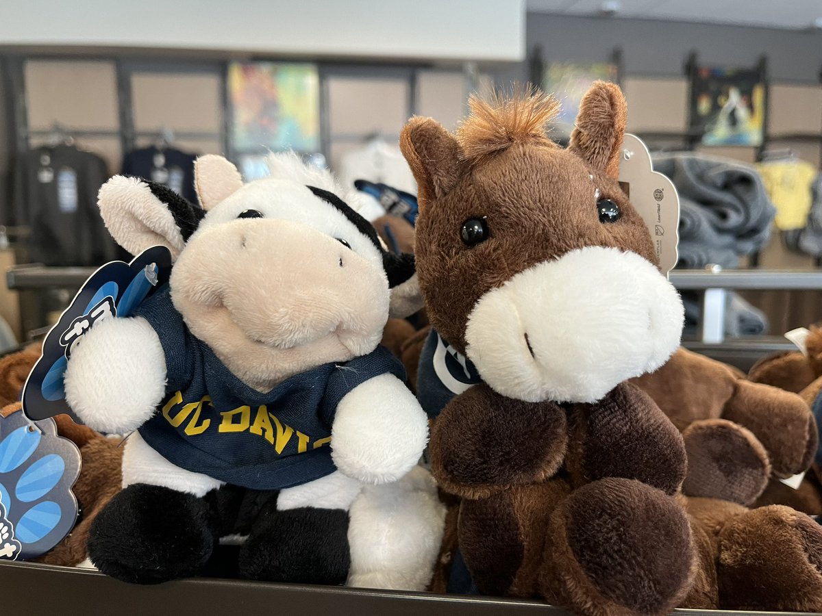 Important @ucdavis question: which one of these cuties is your actual mascot? I’m getting conflicting answers at the store 🤣
