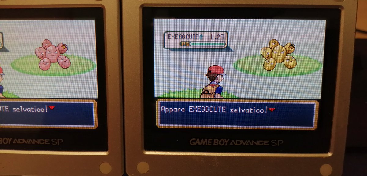 DuckHunterShiny's tweet photo. First shiny of #safariweek2023 is Exeggcute After 3050 Res! Caught after 2 balls! https://t.co/Wzd2pgOvUN