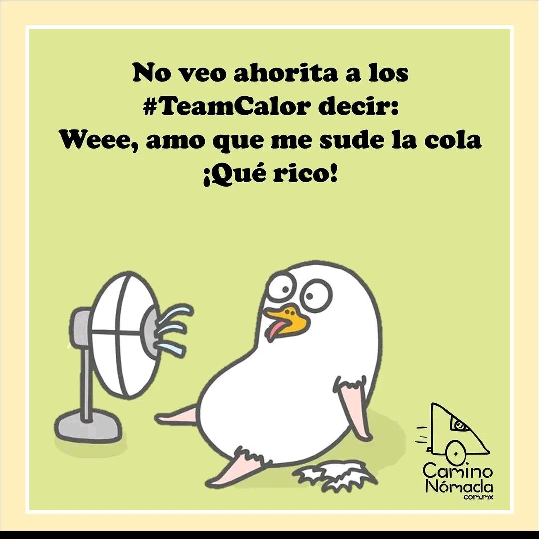 tessy_hg's tweet photo. JAJAJAJA 😂😂😂 https://t.co/UyiueE49IF