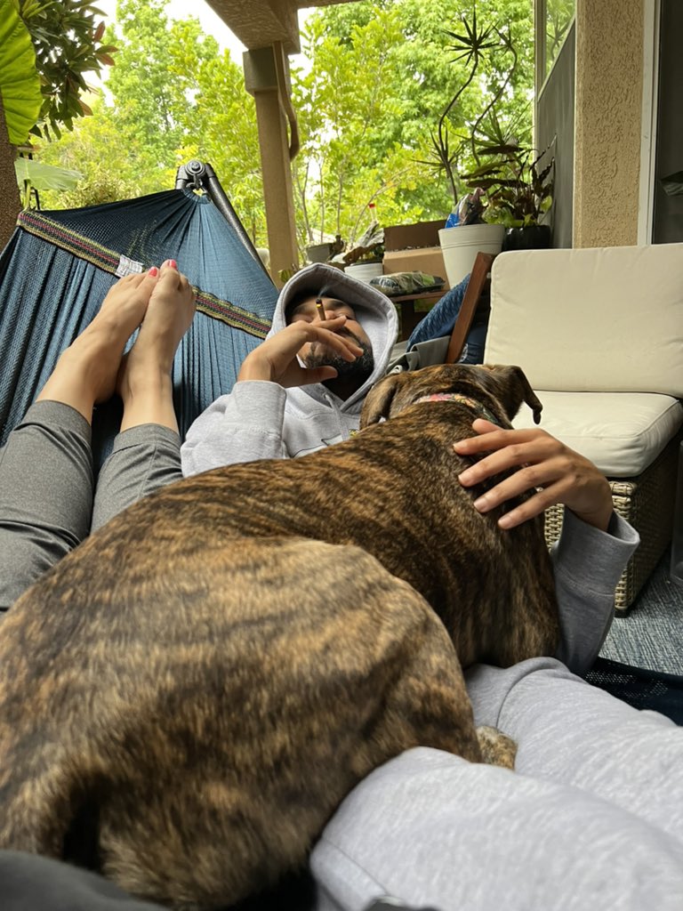 Von_Morpheu8's tweet photo. @maryripsjane Relaxing with my Baby-from-another-species🐶
#StonerDog 
#ProofOfDog 
#PitBullish https://t.co/0zfrNrVSfG
