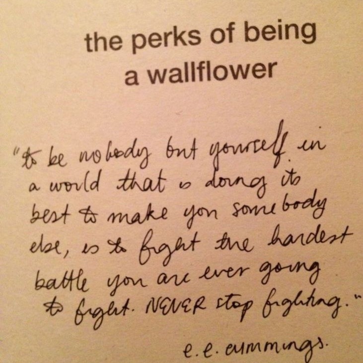 ⭒ ݁ . 𓋼𓍊𓋼 : tweet media