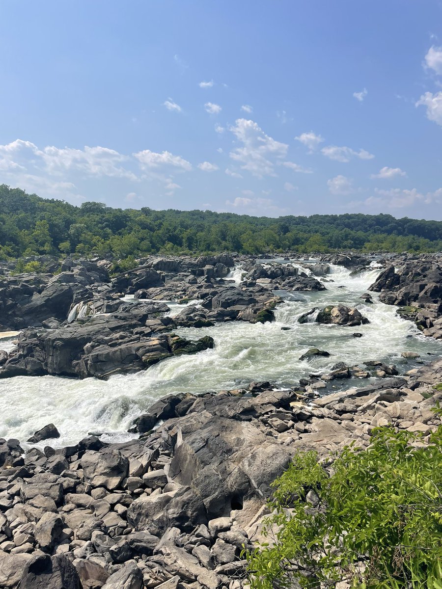 DrPhilipAdams's tweet photo. Hiking at Great Falls National Park β start of summer party and a proper send off for postbac Emily Petroni (off to start medical school @VUMC_Medicine #VandyMed)!! Glad to celebrate with @storzlab!! #AdamsLab @NIH @NICHD_NIH https://t.co/WxAUZvfHIF